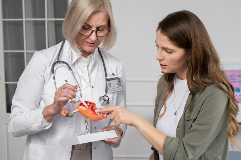Ärztin erklärt einer Patientin ein Modell der Gebärmutter.